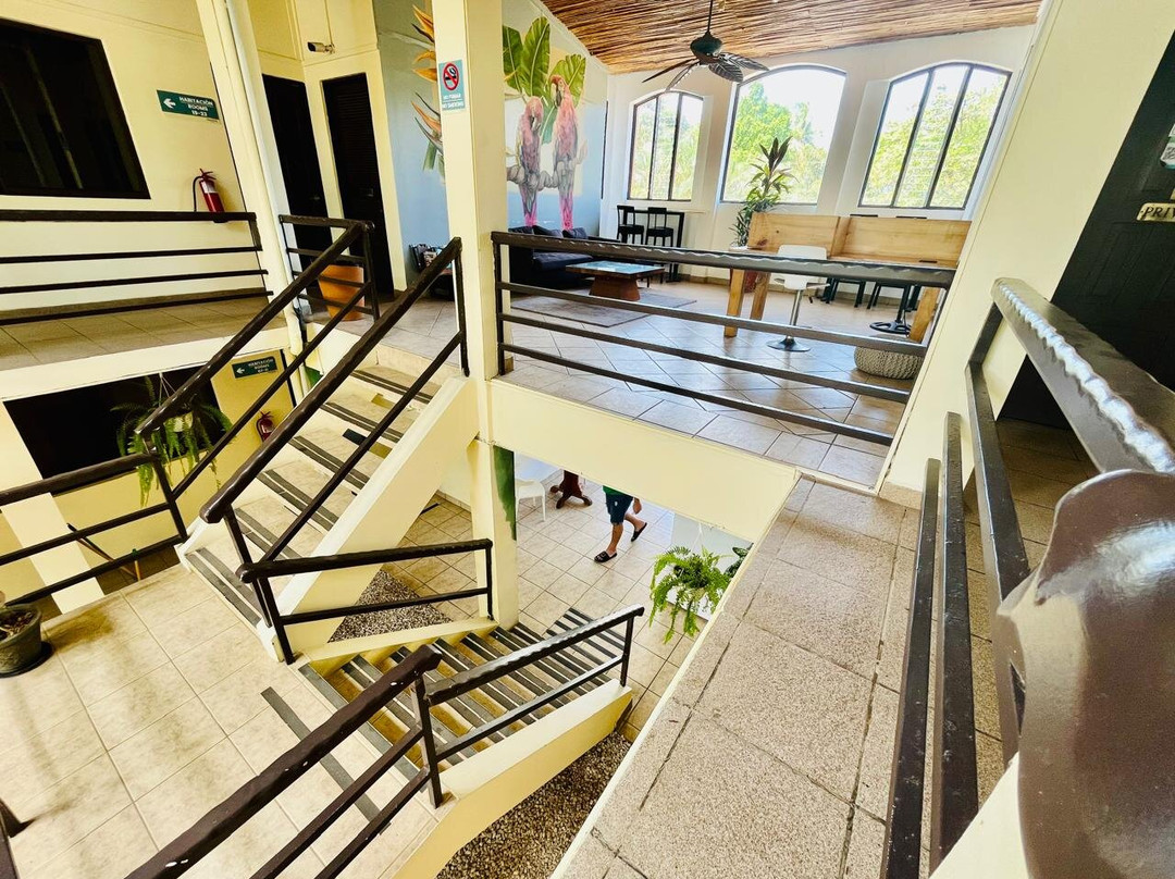 Pueblo Dorado Surf Hotel主图