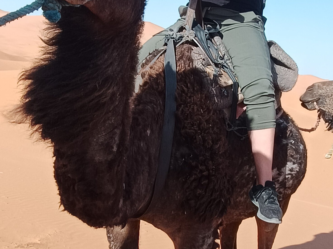 Marvelous Morocco-卡萨布兰卡必去景点