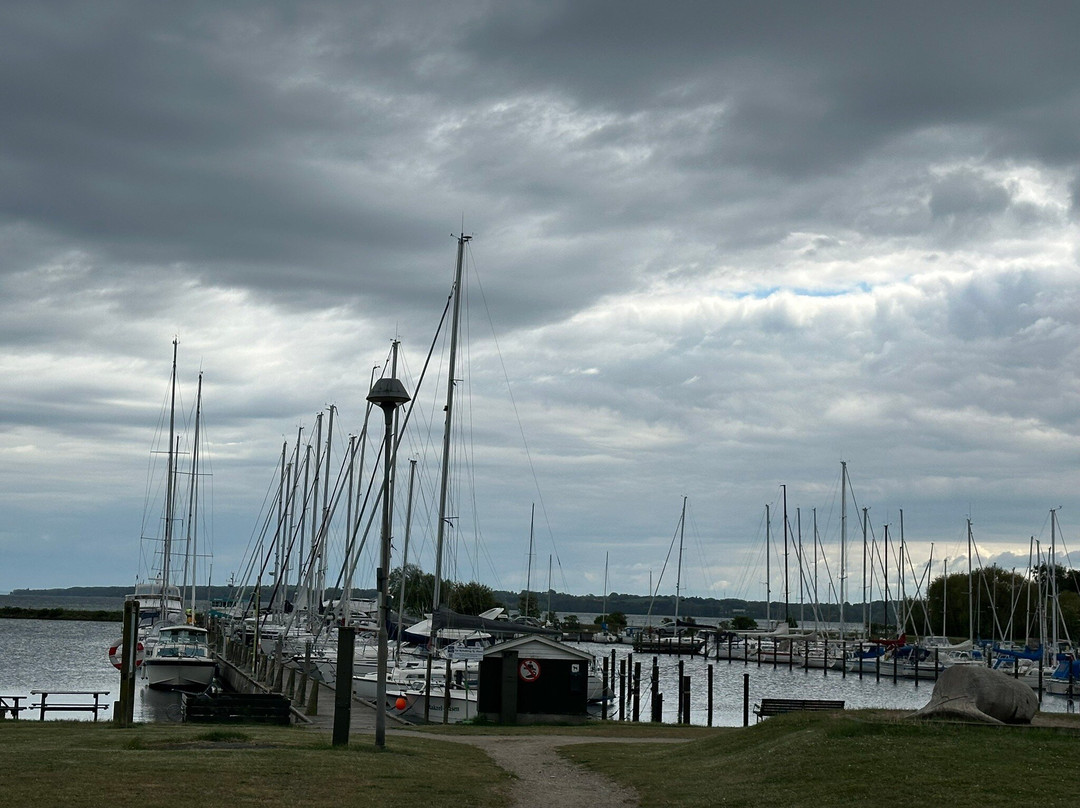 Sommer Salonen Café Og Isbar