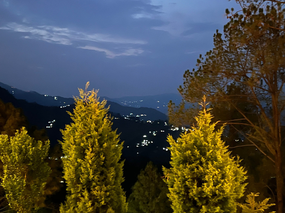 The Woods Retreat主图