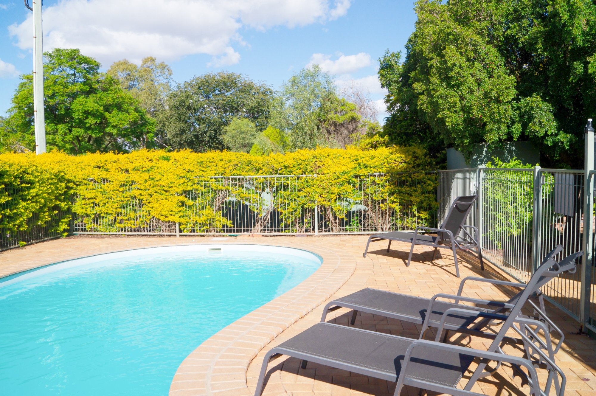 Jacaranda Country Motel-泳池