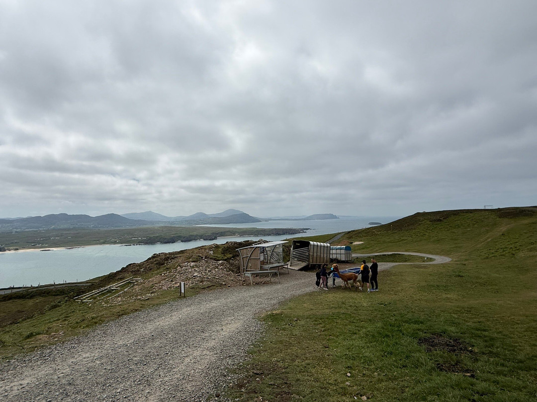 Wild Alpaca Way-Malin Head必去景点