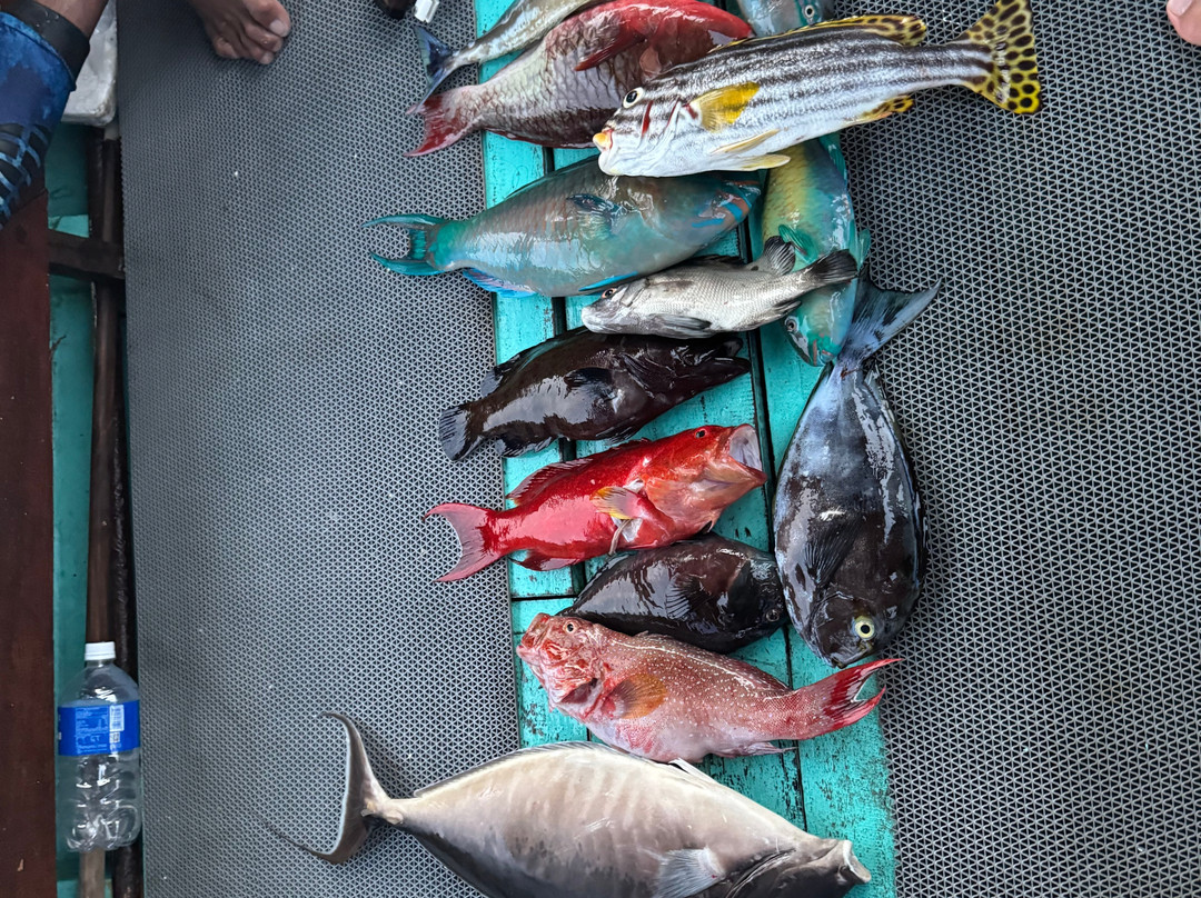 Spearfishing Trips Salfa-Gili Air必去景点