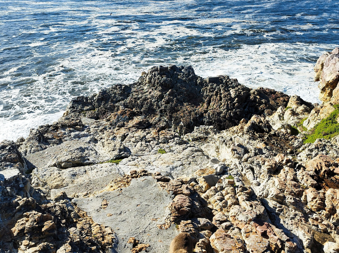Hermanus Cliff Path-赫曼努斯必去景点