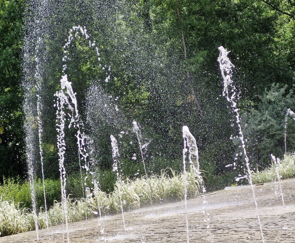 Les Jardins De L'Imaginaire-Terrasson-Lavilledieu必去景点