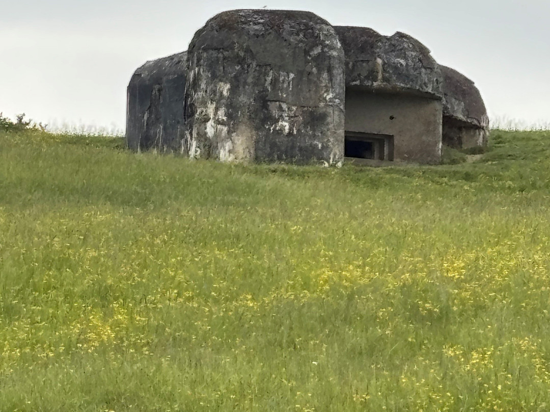 Maginot Line Tours - Tucker Tours-Sedan必去景点
