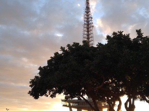 Jardim Burle Marx-巴西利亚必去景点
