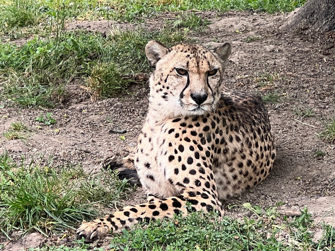 Tierpark Irgenöd-Ortenburg必去景点