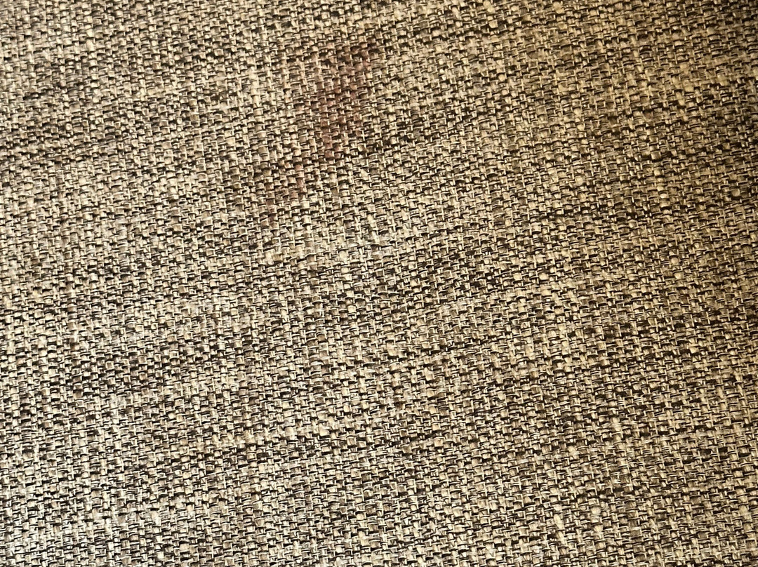 弗雷德里克斯堡霍姆伍德套房酒店主图