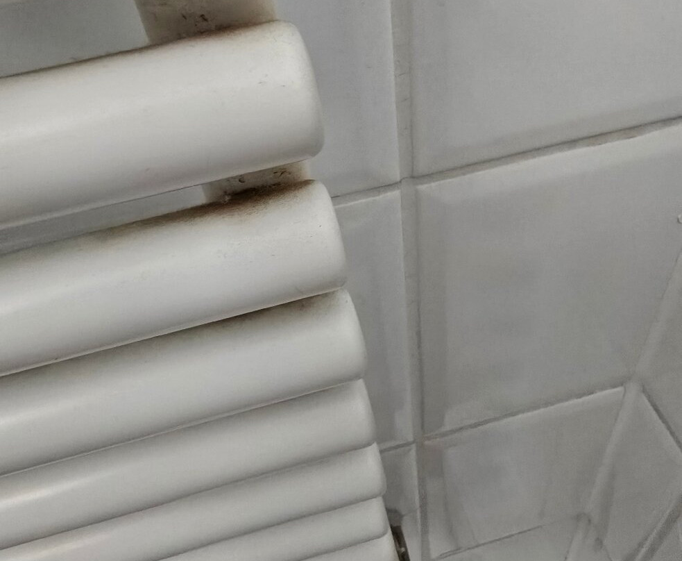 玛伊尔霍夫酒店主图