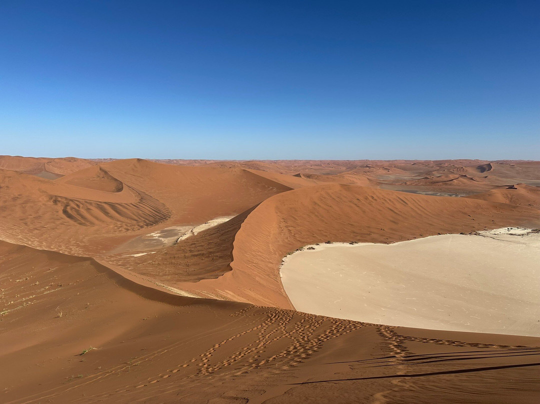 Big Daddy Dune-苏丝斯黎必去景点