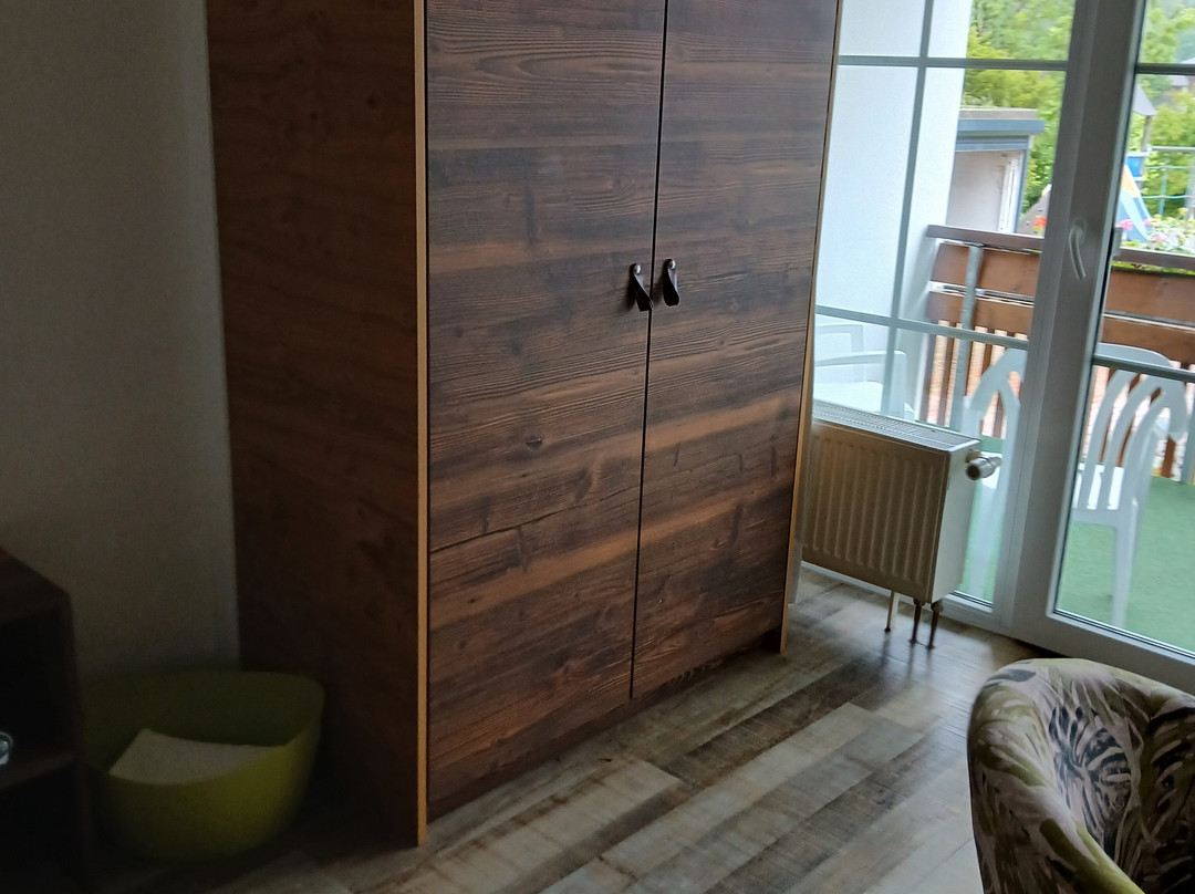 Wohlfuhlhotel Frohsinn主图