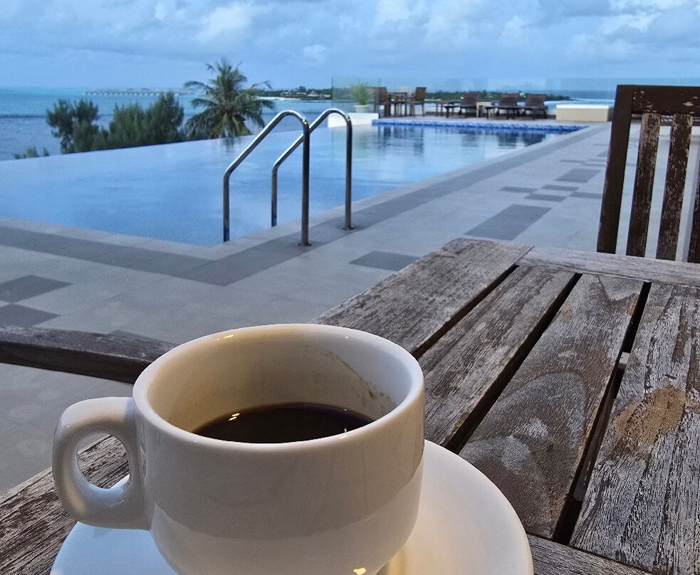 Season Paradise主图