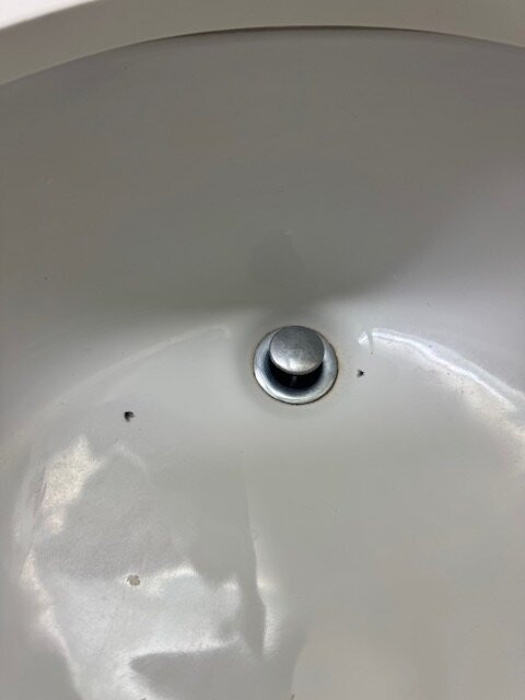 SpringHill Suites by Marriott Sarasota Bradenton主图