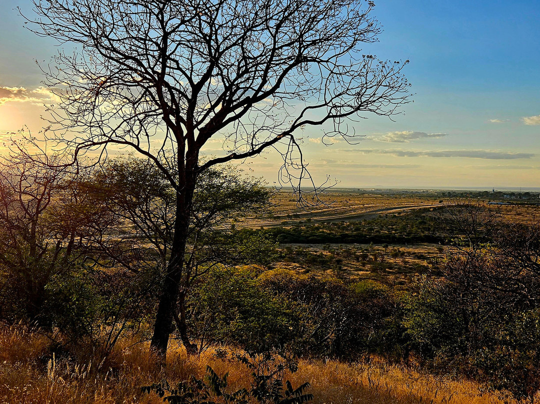 Ijaba Lodge at Buschfeld Park主图