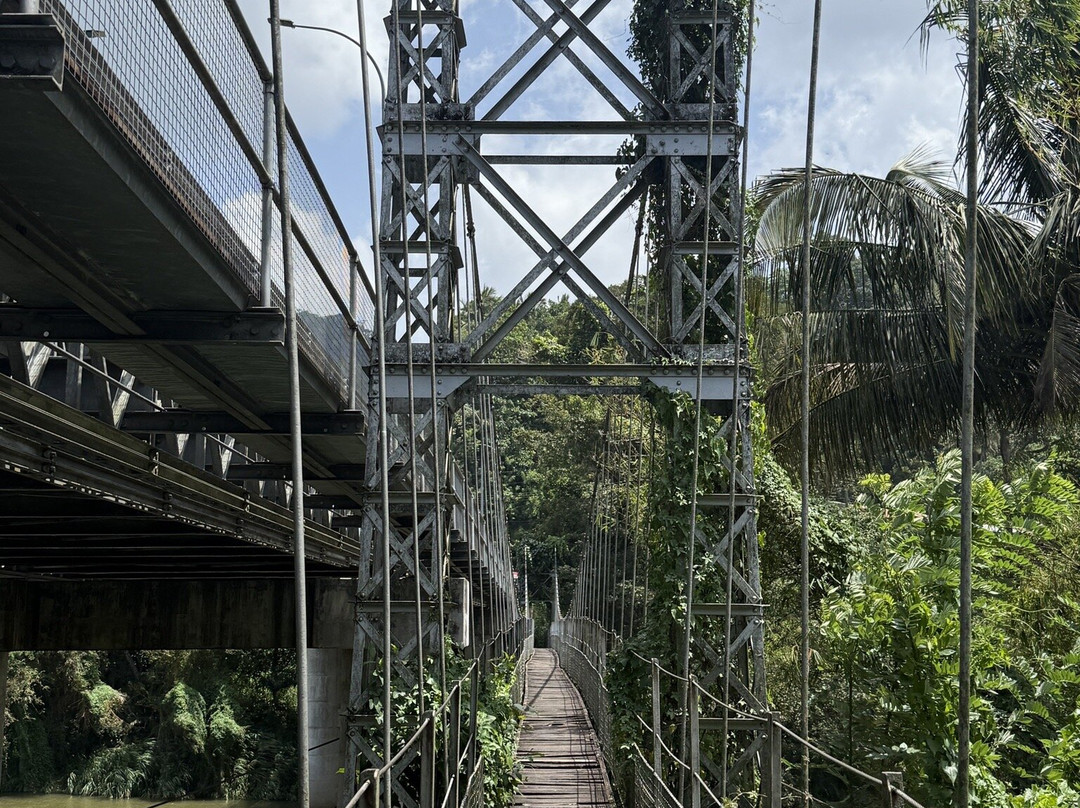 Lesley tuk tuk Safari-康提必去景点
