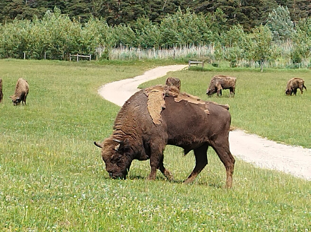 Reserve Biologique des Monts d'Azur景点图片