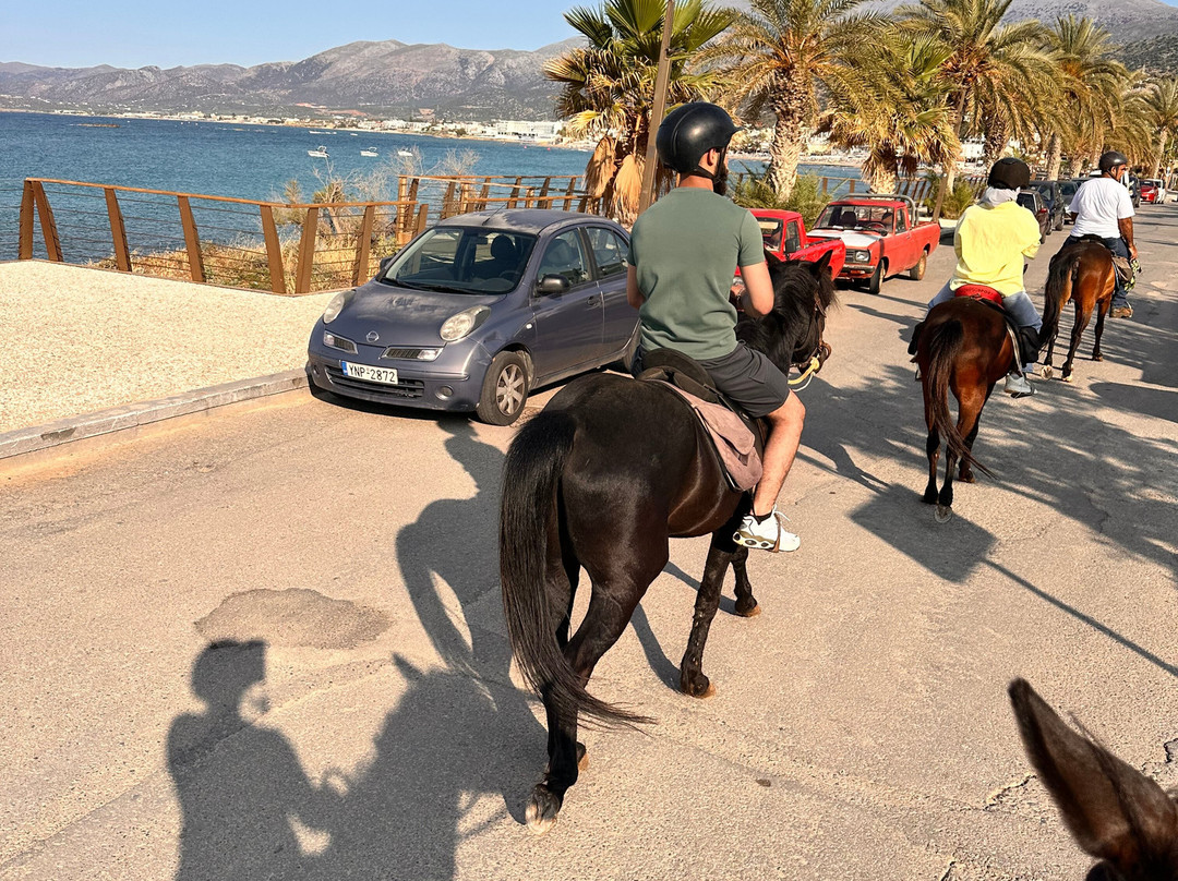 Amarillis Stable-Mochos必去景点