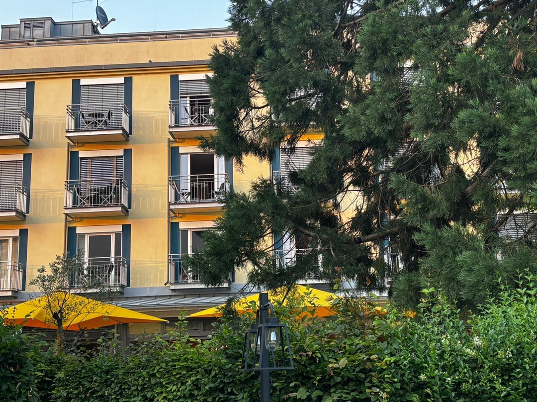 Hotel Hirschen Freiburg主图