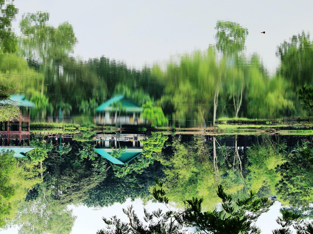 Ninoy Aquino Parks and Wildlife Center