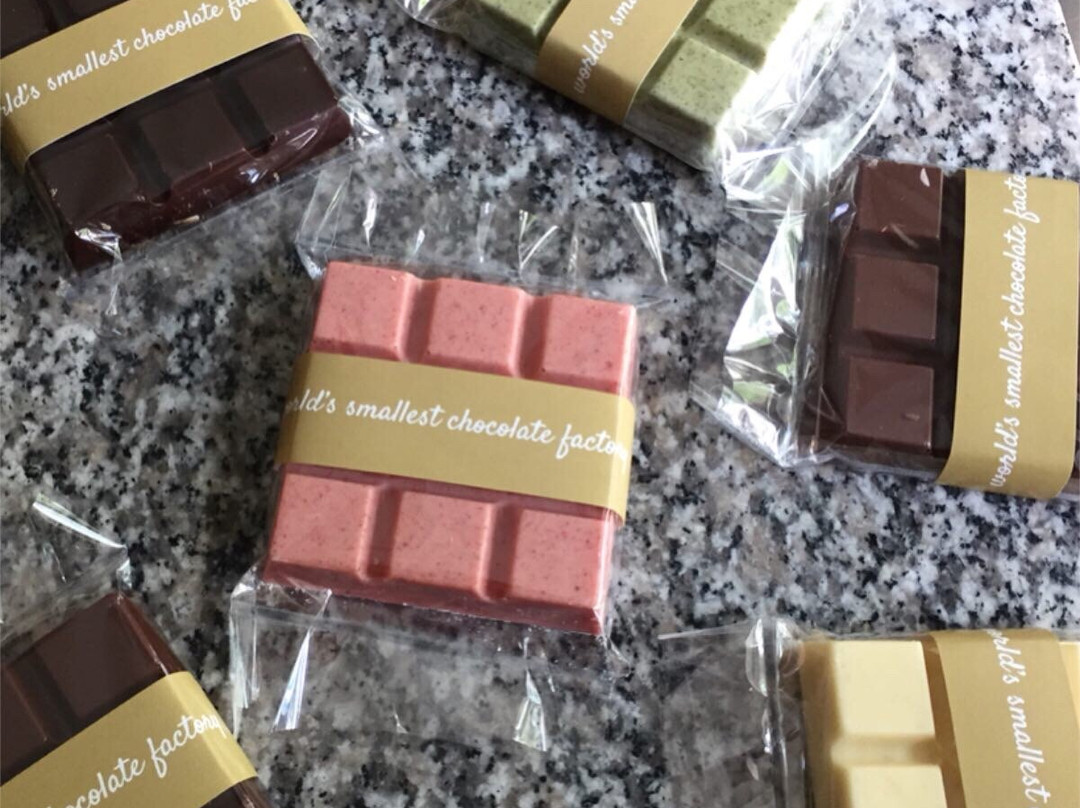 K&k Chocolade-atelier : World's Smallest Chocolate Factory-马斯特里赫特必去景点