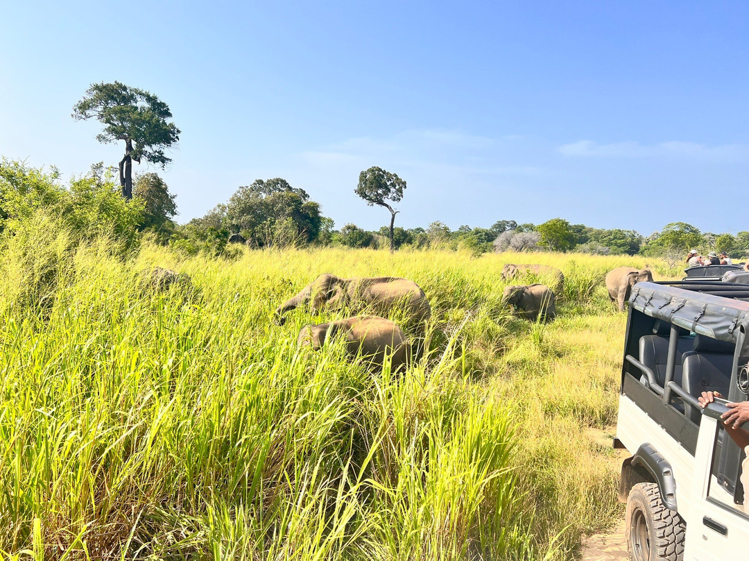 Lenadora酒店住宿-Grand & Gangula