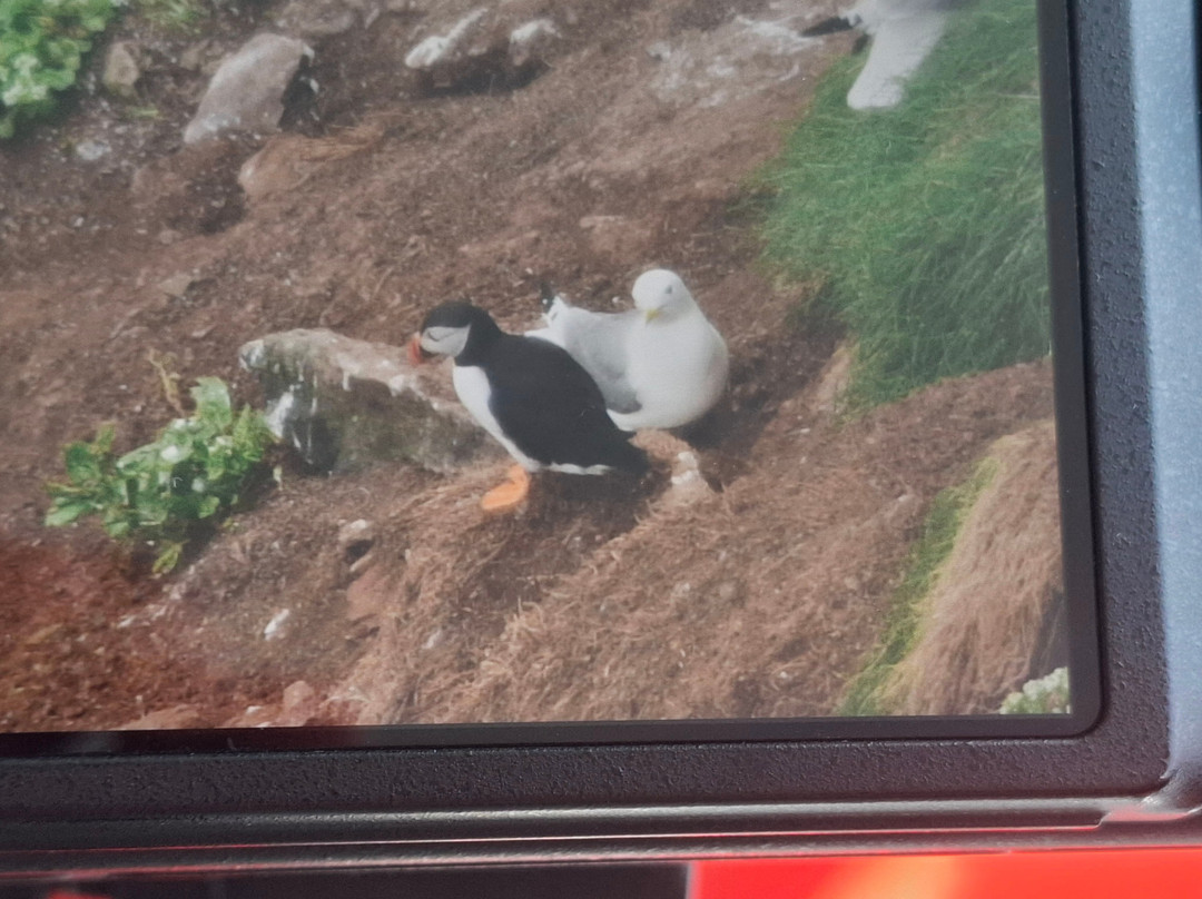 RSPB Rathlin West Light Seabird Centre-Rathlin Island必去景点