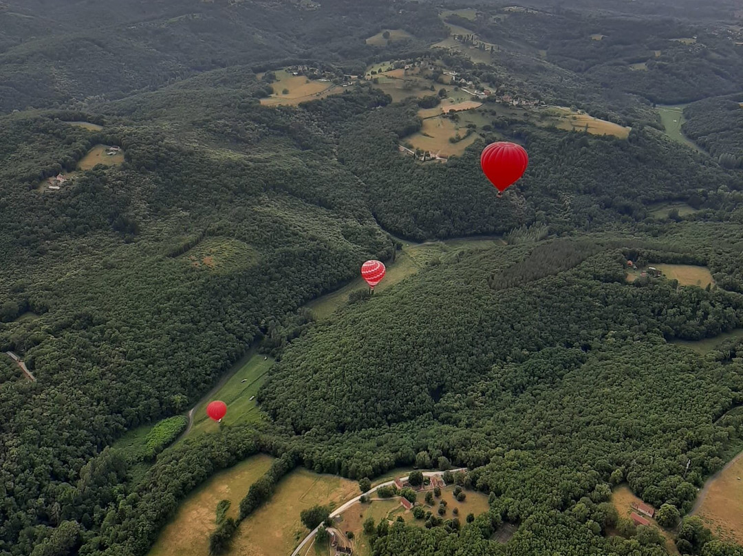 Montgolfiere et Chateaux景点图片