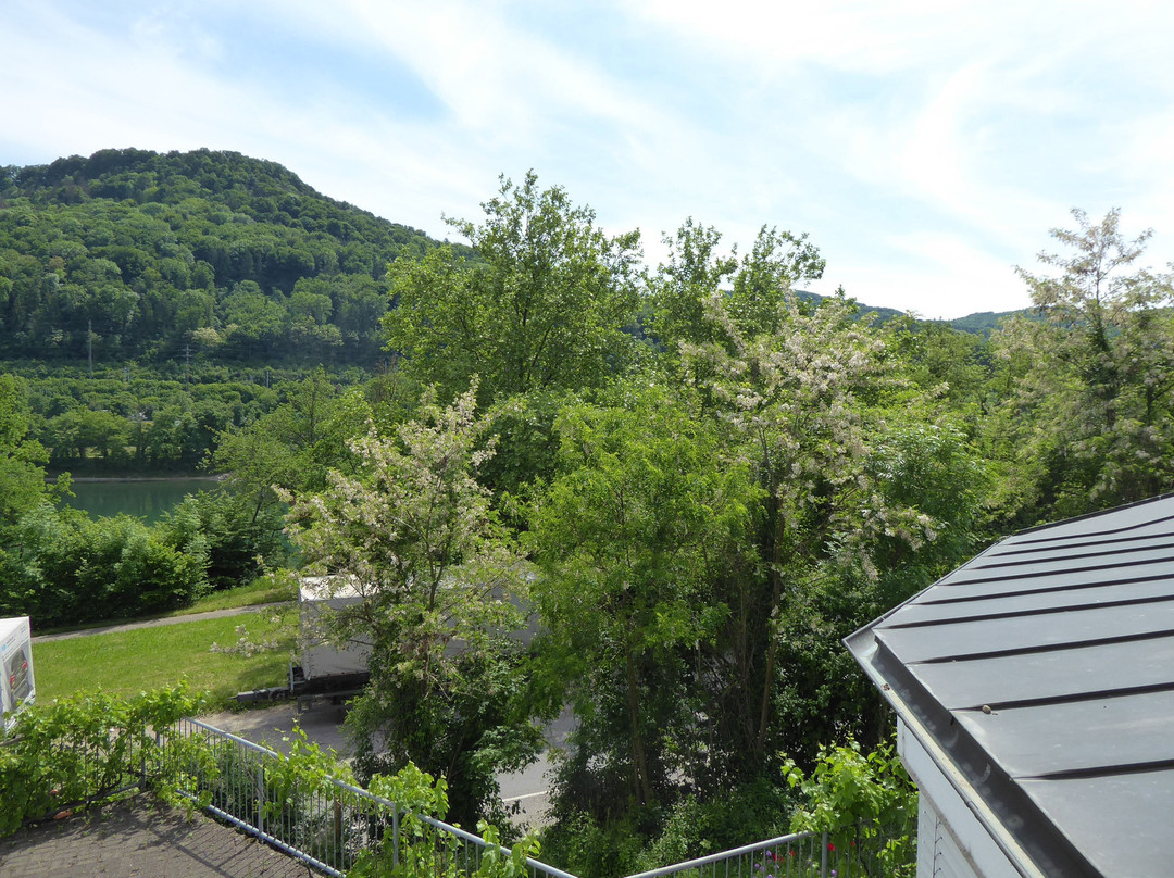 Hotel am Hochrhein主图