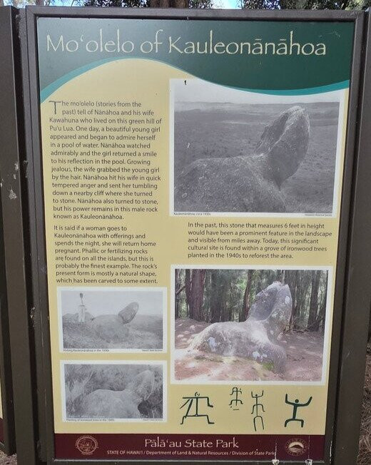 Phallic Rock (Ka Ule o Nanahoa)-霍奥莱胡阿必去景点