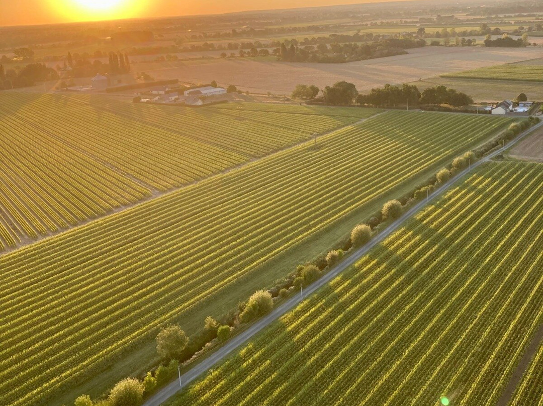 Ohay Canoë-kayak-Pouilly sur Loire必去景点