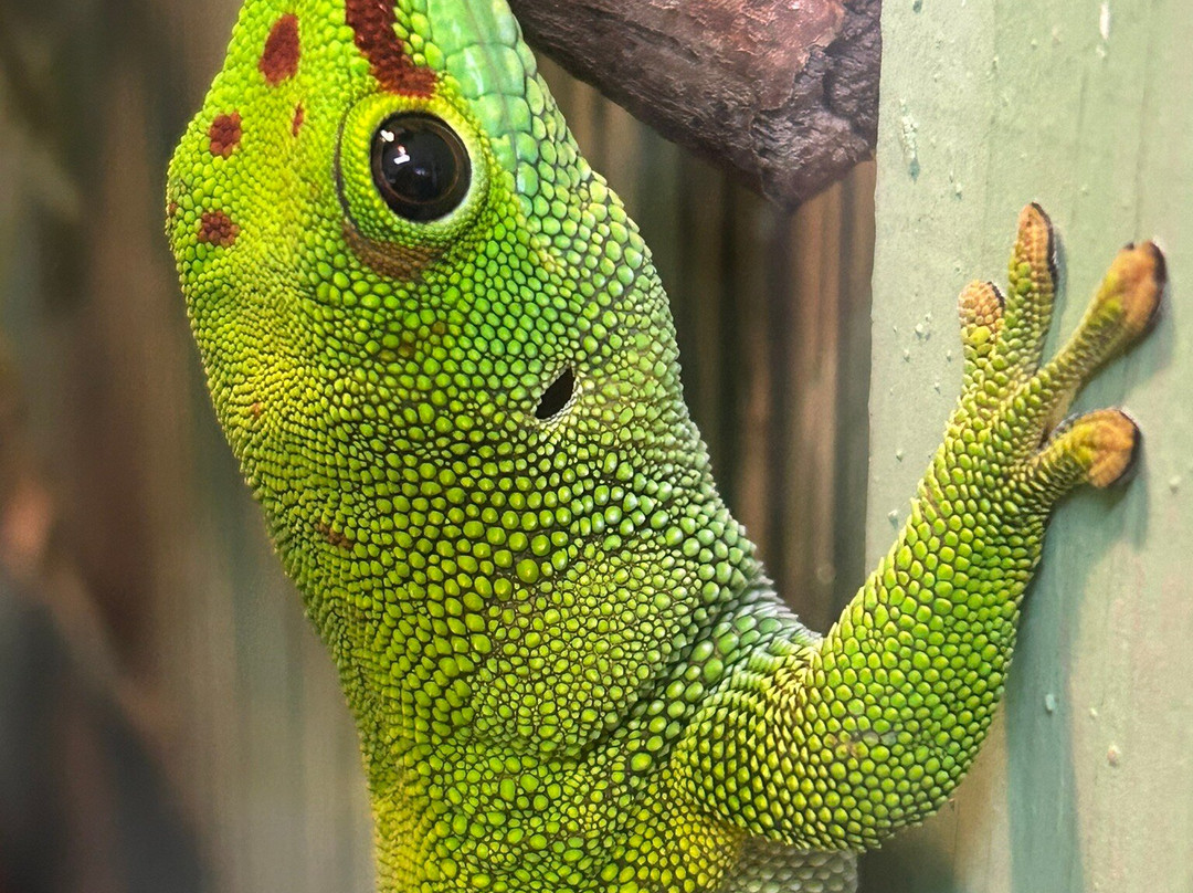 Minsk Zoo-明斯克必去景点