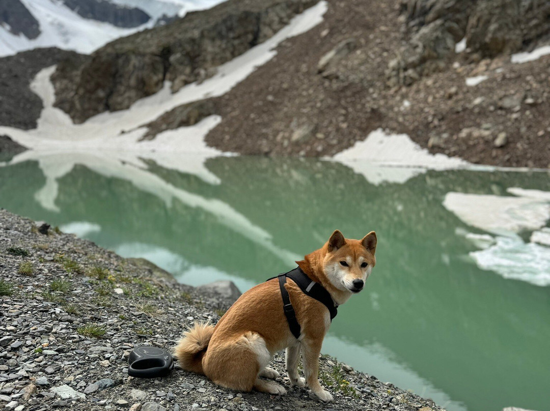 Glacier Aktru-Kuray必去景点