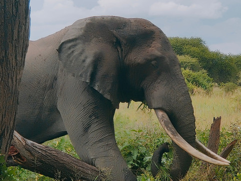 Afrika Geographic Safaris Ltd-Dar es Salaam必去景点