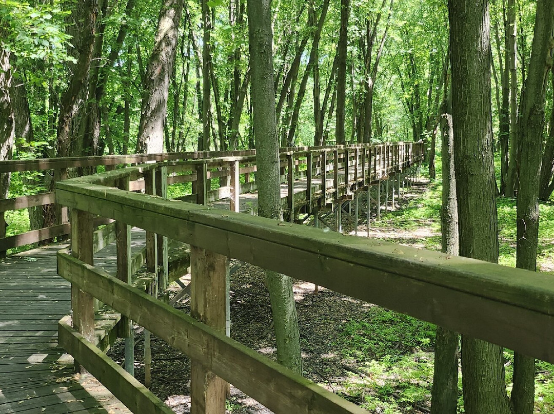 Reserve Naturelle De Pointe-Yamachiche-Yamachiche必去景点