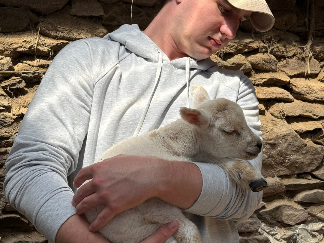 JBM Executive Travel-恩尼斯必去景点