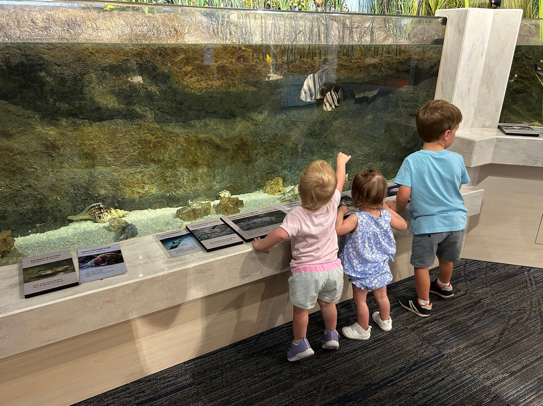 The University of Texas Marine Science Institute-阿兰瑟斯港必去景点