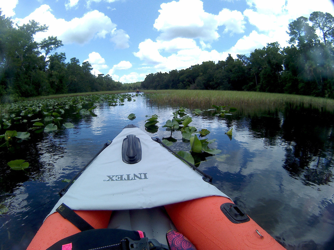 Alexander Springs-Altoona必去景点