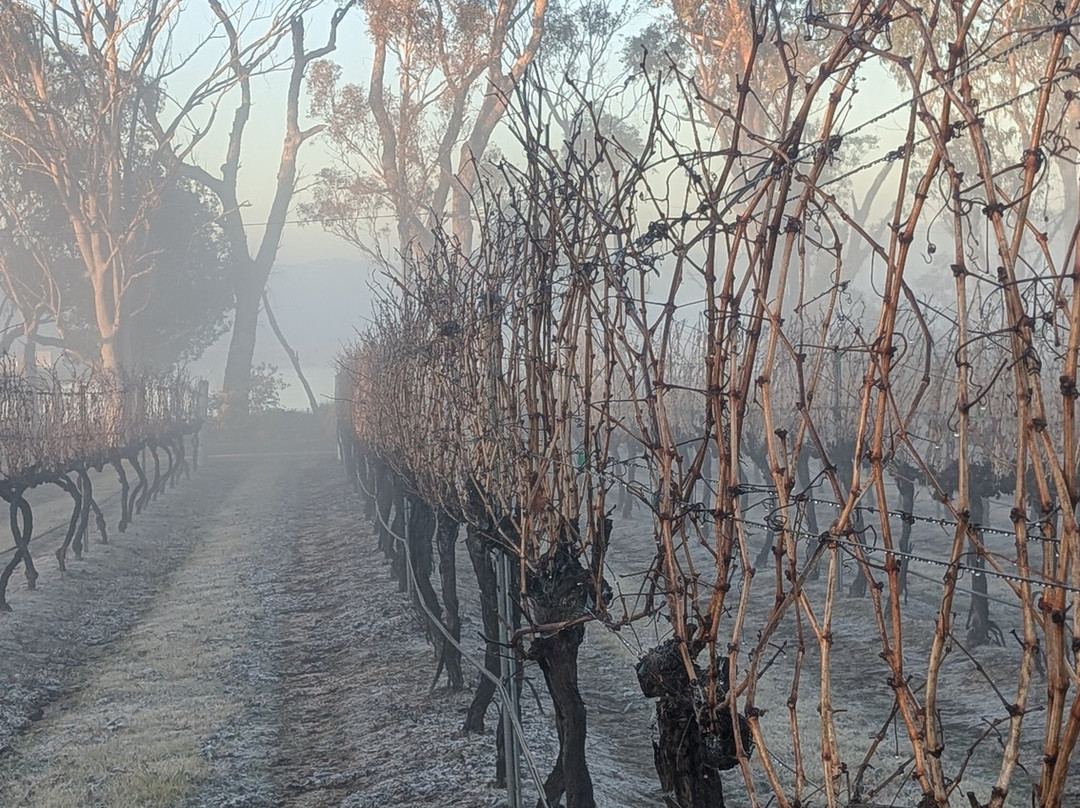 Ridgemill Estate Winery & Cellar Door-史丹霍普必去景点