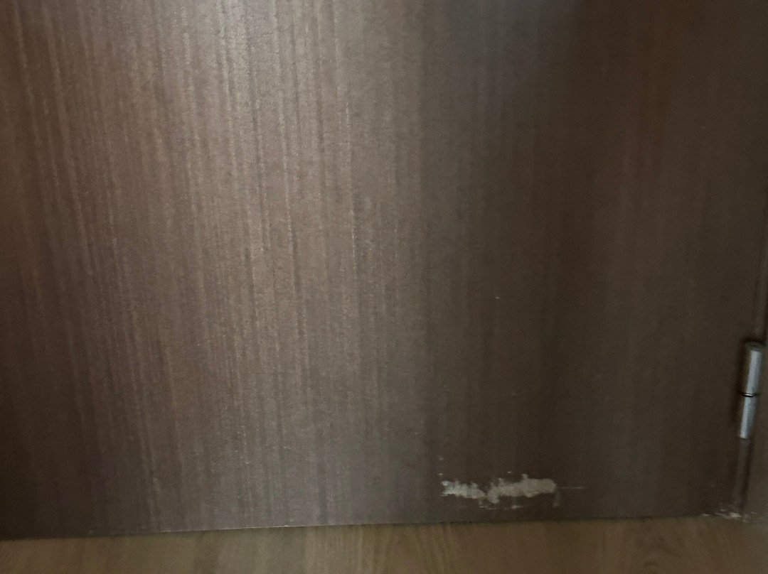 Hotel Veracruz Plaza & Spa主图