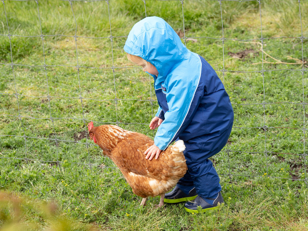 Woodside Farm-苏克必去景点