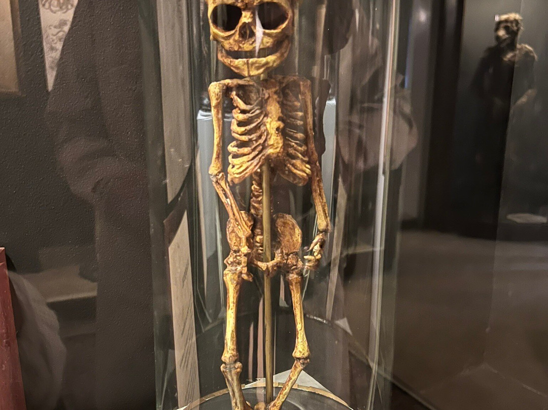 Museum Obscurum-Nykobing Falster必去景点