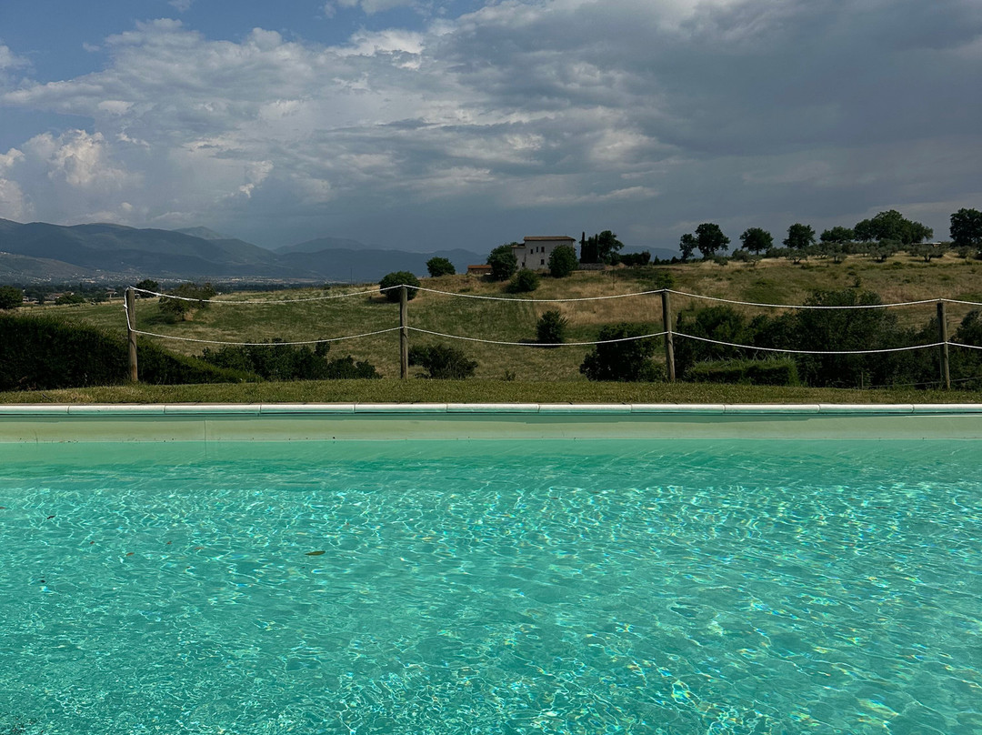 Agriturismo i Mille Ulivi主图