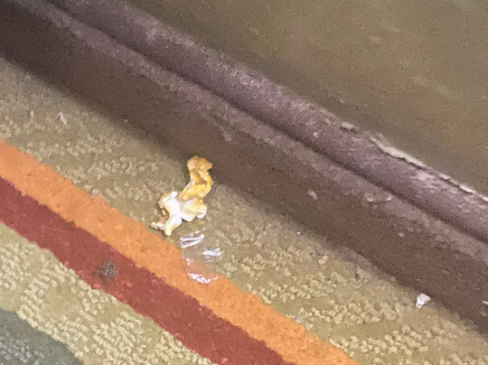 Super 8 by Wyndham Champaign主图