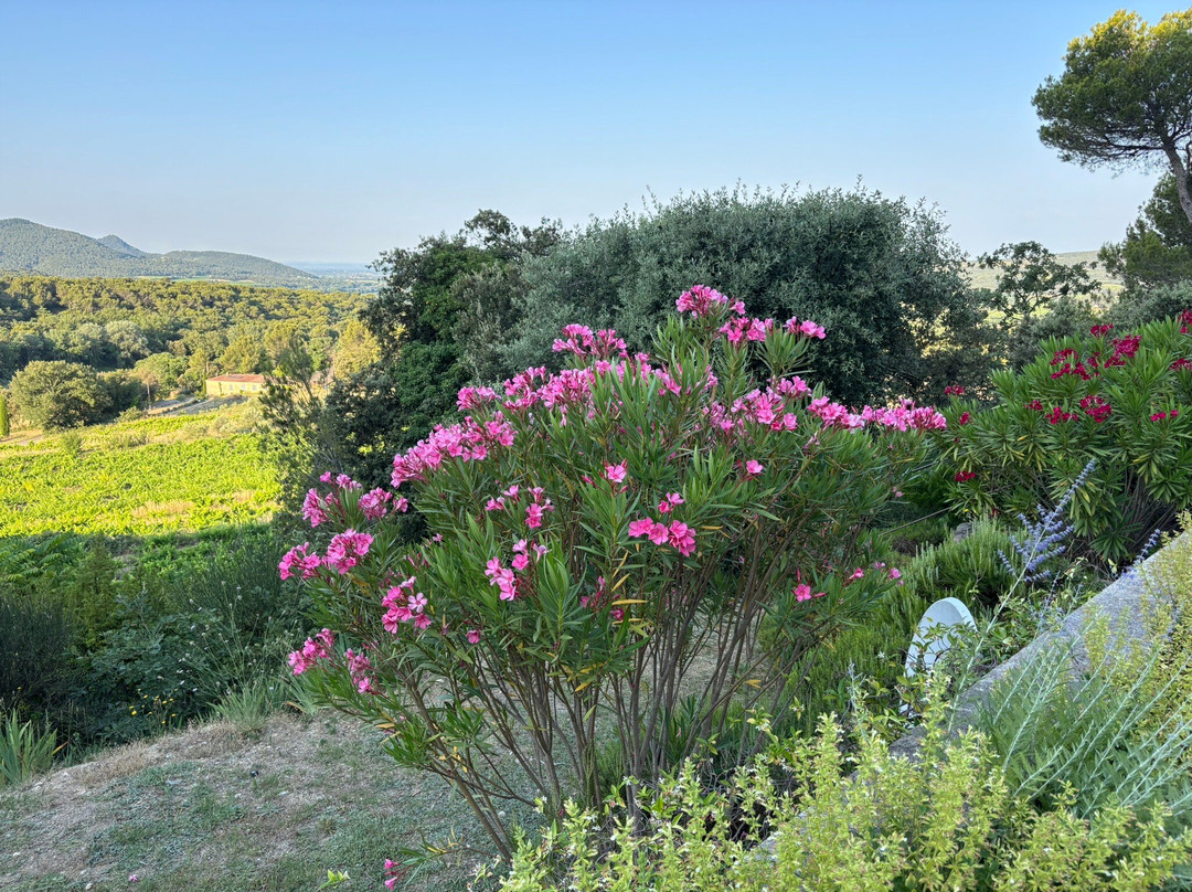 Villa Nymphee