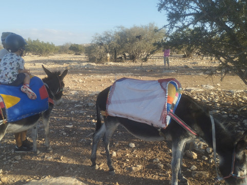 Village Donkey-索维拉必去景点