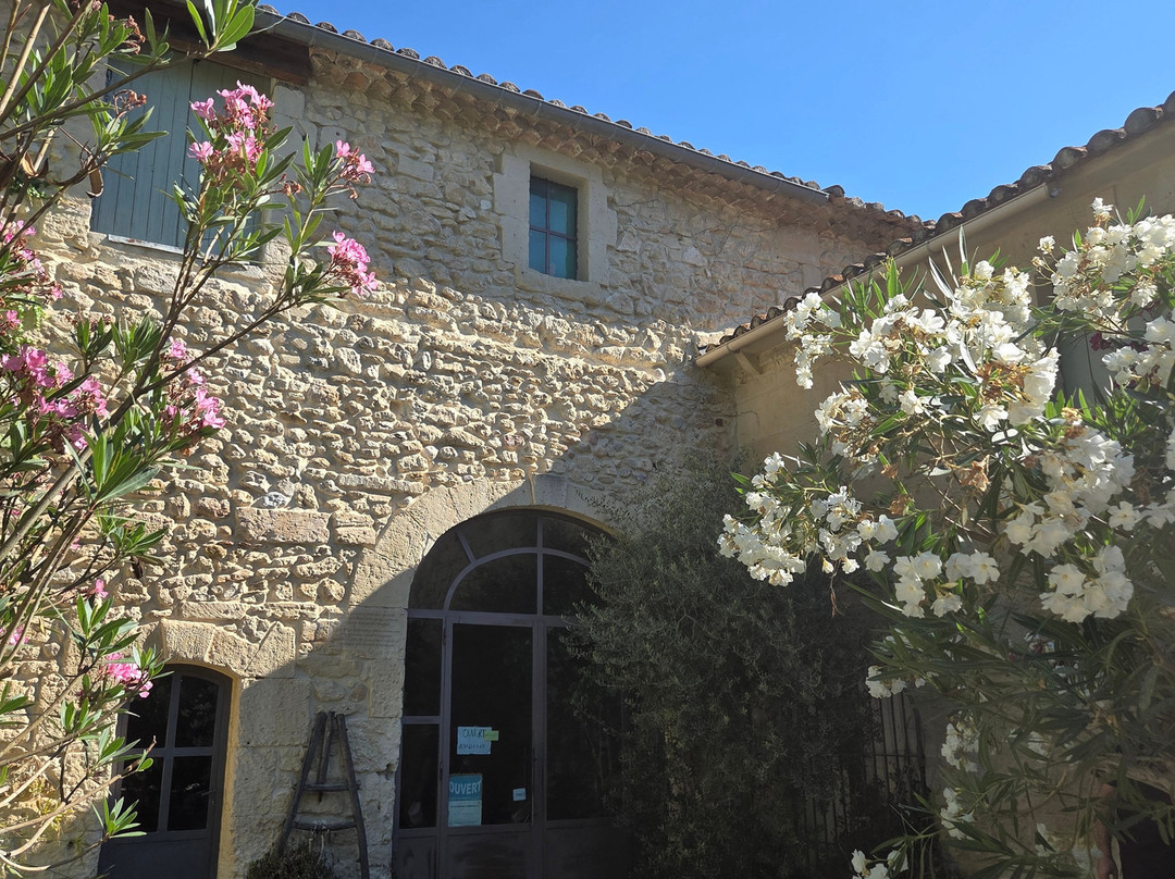 Moulin de Bédarrides-Fontvieille必去景点