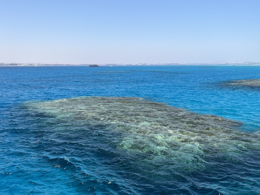 Pro Divers Corner-赫尔格达必去景点