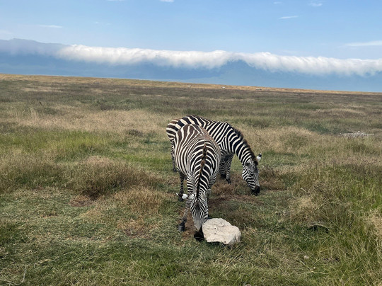Global Experience-阿鲁沙必去景点