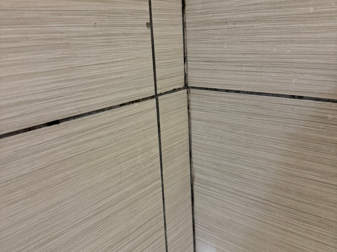 Best Western Plus University Inn主图